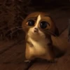 Mort 8