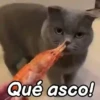 🤎Gatitos con Frases😼 12