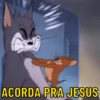 Animadas do jerry 🐭❤️ 12