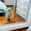 Los más buscados de TikTok 12