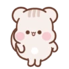 Marmut lucu imut 11