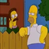 Simpsons 14