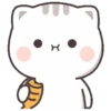 🎀   Gatito   tierno  🎀 6