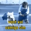 Reações de animais 😍 7