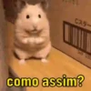 Reações de animais 😍 5