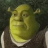 Shrek 6