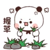 Panda Gemoy Lucu 16 25