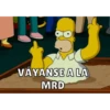 Memes Simpson 14