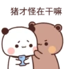 Bucin 21