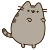 Pusheen kawaii✨ 5