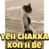 YEH CHAKKA KON H Be