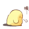 Anak ayam 5