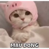MEOWW 6