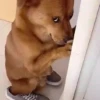 🎵 TIKTOKeando 5🎵 12
