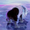 Animados Random 10🤣 18