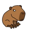 ✨Capybara✨ 15