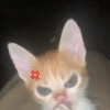 🎵 TIKTOKeando 5🎵 17