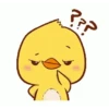 Ayam lucu 5