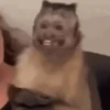 Reações de animais 😍 6