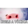 Pua🐽💓 8