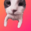 Cats? 5
