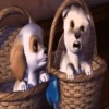Perritos TikTok (Barbie) 9
