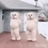 Osito_dance/perreando 9