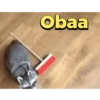 Memes que você precisa ter 8