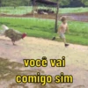 Para reagir e debochar 😂 15