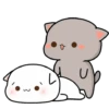 ❤️ Mochi - Peach Cat 🌚🌝❤️ 12