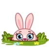 Pink bunny 15