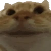 Big Boy TikTok Viral 16