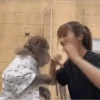 🐒 aquela do macaquinho 15