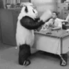 Funny reaction 8
