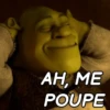 Shrek animado 😂 9