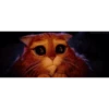 Gatitos 7