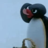 🐧❄️Pingu Animado❄️🐧 9