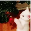 Animated christmas 7