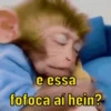 Para reagir e debochar 😂 11