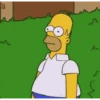 The simpsons 5
