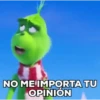 NO ME IMPORTATU OPINIÓN