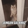 Nunggu puasa 6