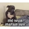 Firulais🐶 5