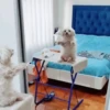 Los más buscados de TikTok 15