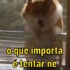 Memes para reagir 😂 9