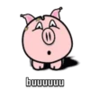 buuuuuu