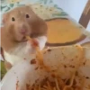 🎵 TIKTOKeando 9🎵 14