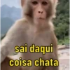 Para reagir e debochar 😂 7