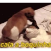 ANIMA&Ccedil;&Atilde;O PRO SEU DIA 7
