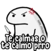 FLORK Furioso! 😡😤 5